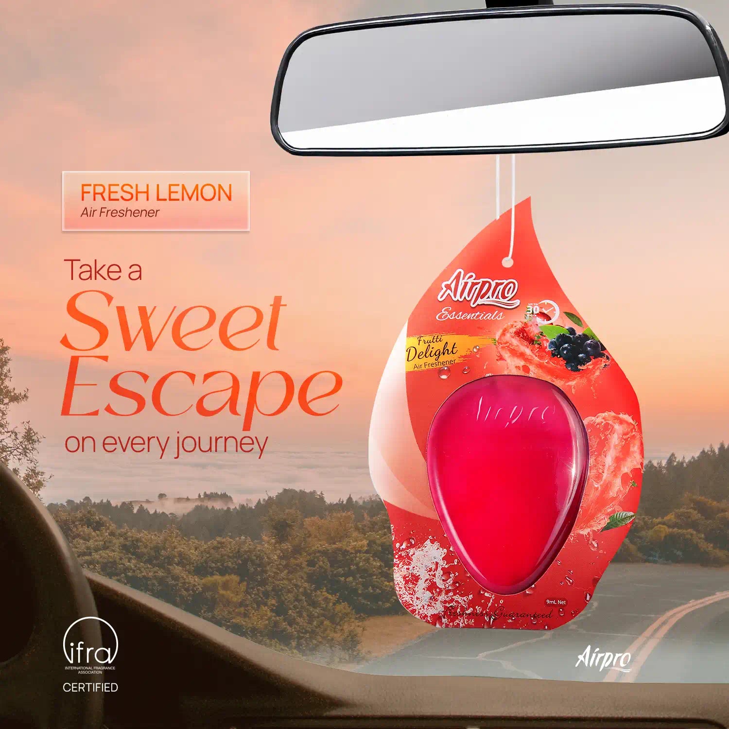 Hanging Gel (Pack of 2)