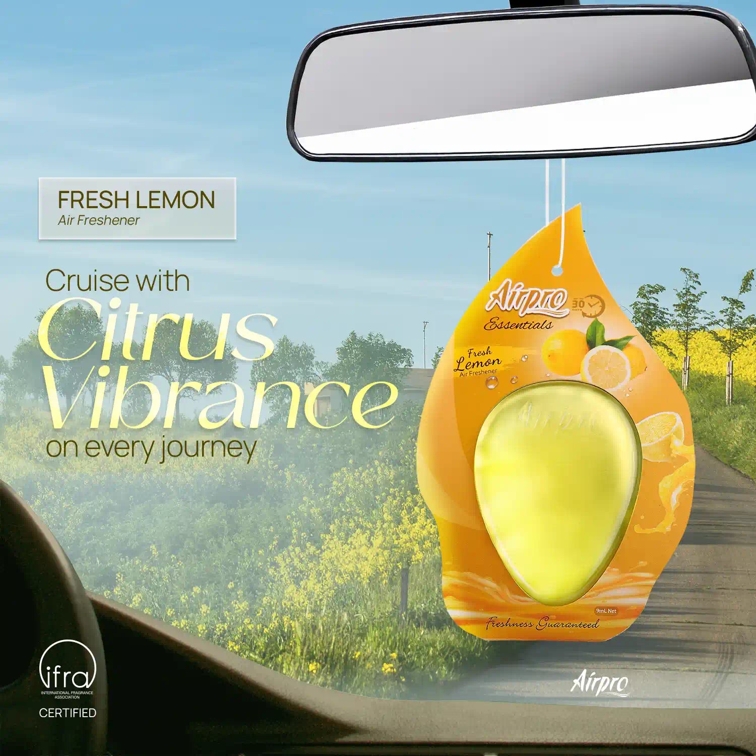 Hanging Gel (Pack of 2)